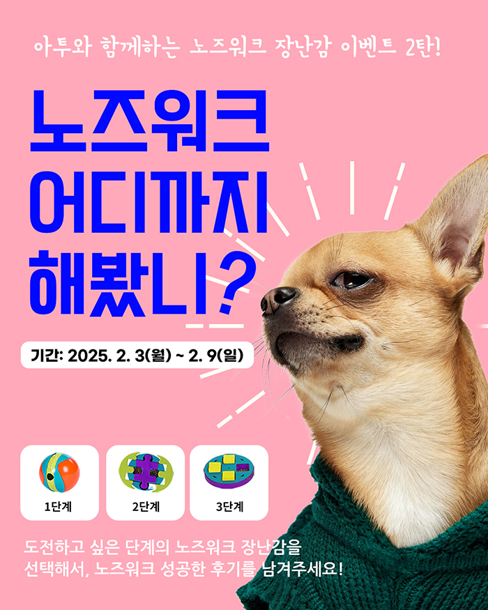 노즈워크_2502.jpg